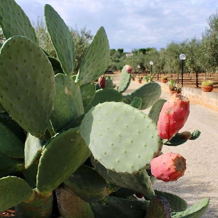 I Trulli Di Gina Appartamento Trullo 6 Persone Monopoli Exteriör bild
